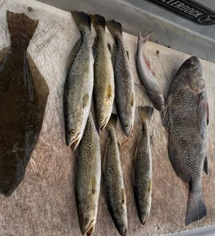 Slidell delivers with flounder, black drum and speckled trout!