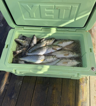 Lures, laughs, and local legends