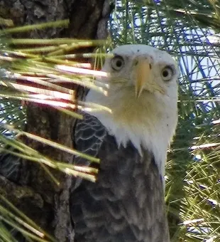 Nature’s show is always on!