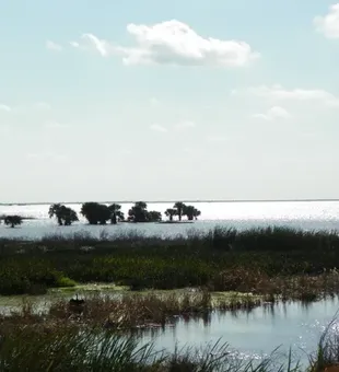 Wildlife and fishing—Sebastian has it all!