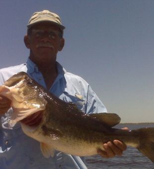 Bass Fishing In Florida