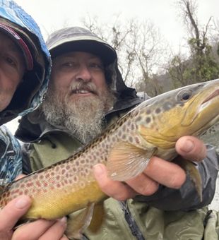 Cold-day catch — beautiful brown trout in the net.