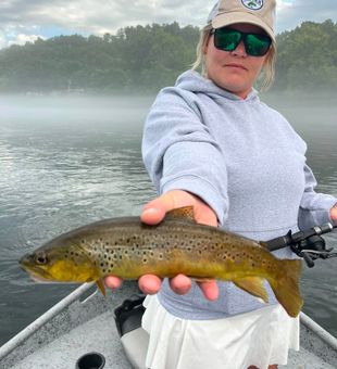 Discover the beauty of the White River.