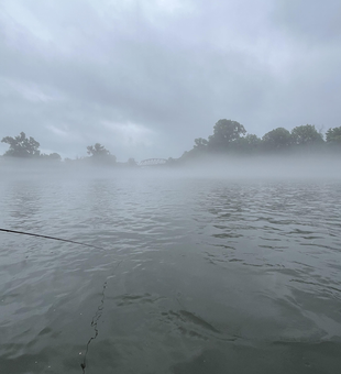 Fly fishing the misty waters of White River.