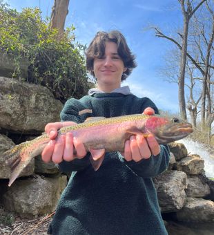 Colorful Rainbow Trout Catch on a Scenic Fishing Trip