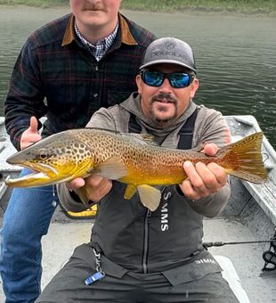 Beautiful colors on this brown. 