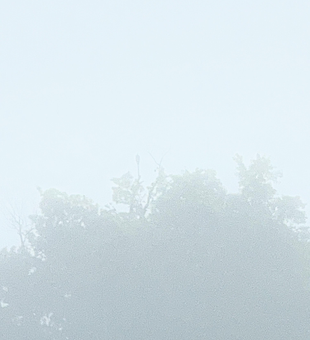 Fly fishing on White River through morning fog.