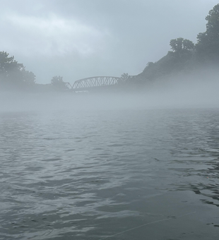Misty morning fly fishing conditions on White River.