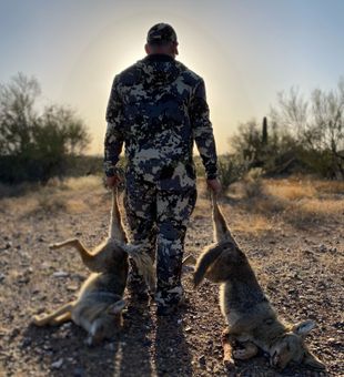 Nothing like taking coyotes back to your truck in Arizona it's something special 