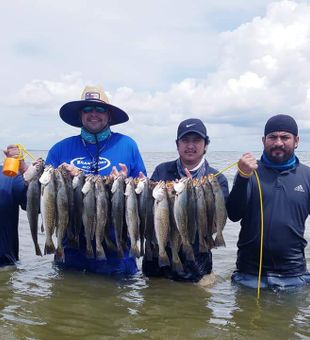 Group Fishing For Trout In Galveston, TX
