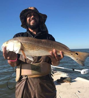 Redfish from Galveston, TX