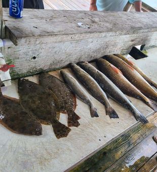 Flounder, Trout, & Redfish from Galveston, TX