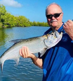 Tarpon in North Fort Myers, FL