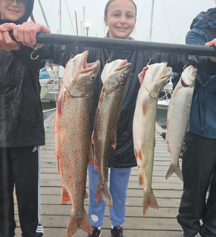 Four impressive Lake Trout from Lake Superior waters!
