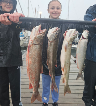 Four beautiful lake trout from Lake Superior waters!
