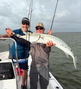 Islamorada barracuda showing up strong today