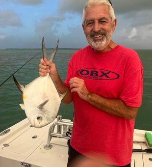 Big permit cruising the shallows