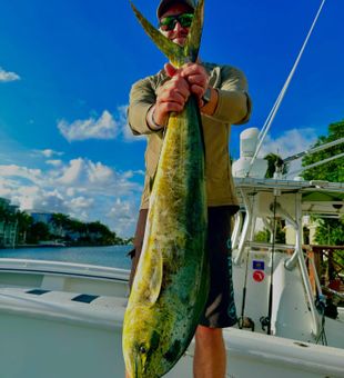 Big mahi-mahi catch! 🎣🐟