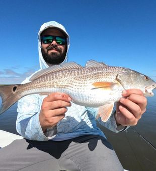 Aransas Pass Redfish Run