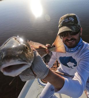 Beautiful Redfish in Corput Christi, TX