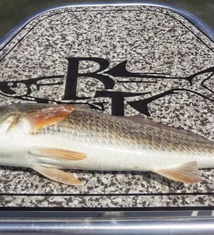 Trophy Redfish in Corpus Christi, TX