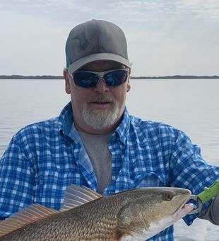 Catch, snap, repeat.