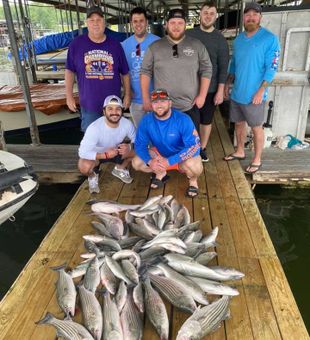 Reeled In Bass In Lake Texoma, TX