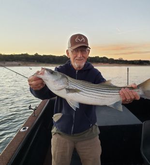 Unleash the Fight in Striped Bass