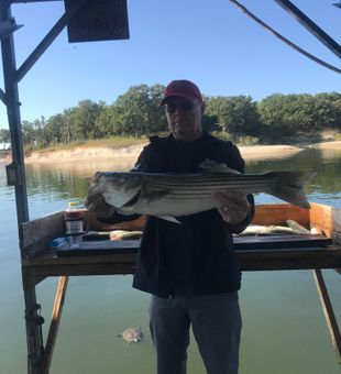 Largemouth Bass: The Ultimate Catch