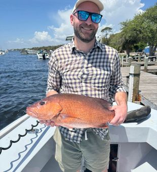 Beautiful catch landed right on Pensacola waters.