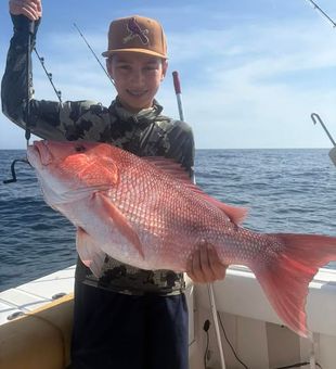Massive Red Snapper catch by this young angler -Pensacola, FL

