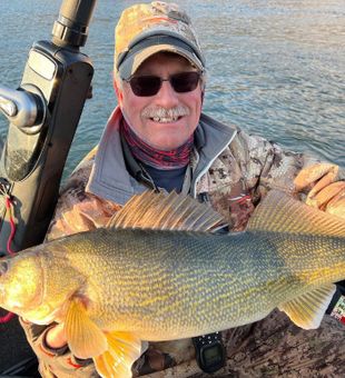 Good-Size Walleye From Columbia River