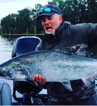 Large Chinook Salmon In Astoria!