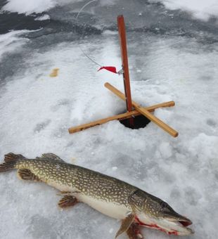 Pike Ice Fishing In Skaneateles  Lakes