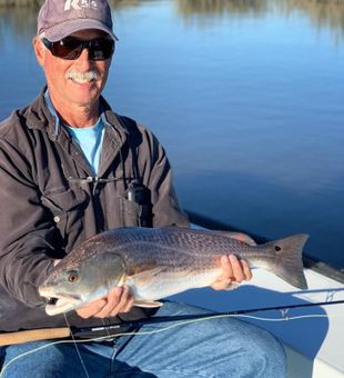 lured Red Drum Fish in Hilliard, FL