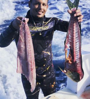 Who wants some dinner?