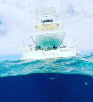 Spear Fishing POV - Fajardo, Puerto Rico.