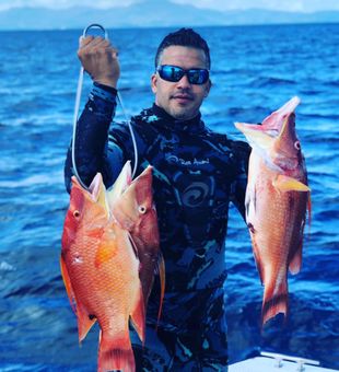 Colorful snapper haul!