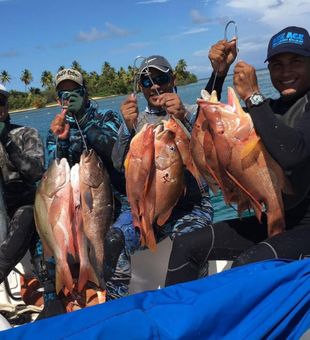 Snapper Haul!  - Fajardo, Puerto Rico.