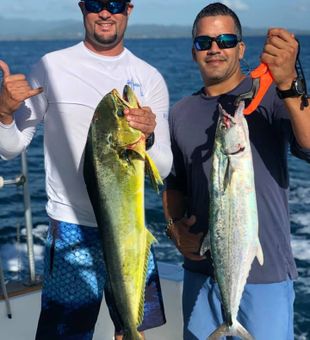 Mahi-mahi and king mackerel shine.