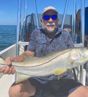 Amazing Snook on display!