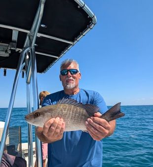 Head offshore from St. Petersburg and enjoy an action-packed day targeting hard-fighting saltwater fish.