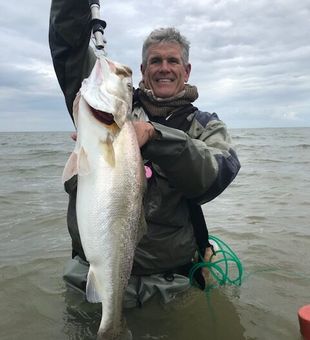 Impressive Speckled Trout from the surf