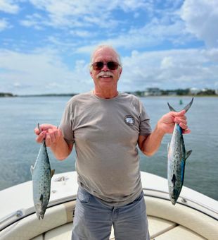 Mackerels are still on fire this season.