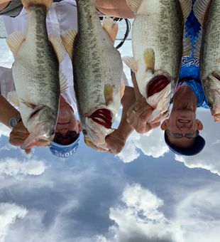 Hooked for life on this Bass Game!
