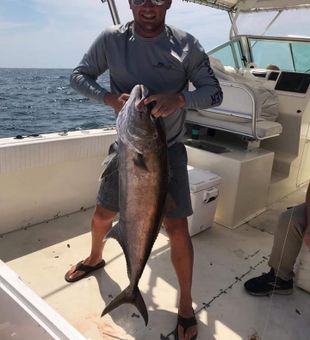 catching blackfin tuna