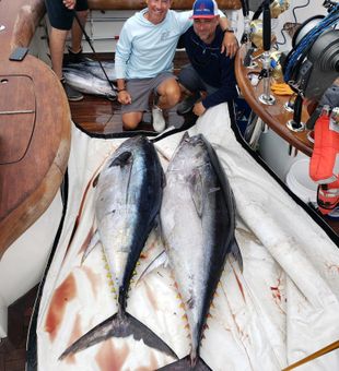 Massive bluefin tuna catch!