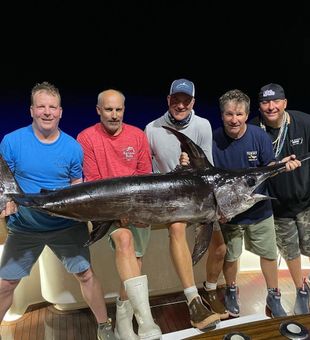 Giant swordfish catch!