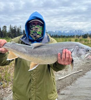 Alaska's lakes: Where fish roam free.