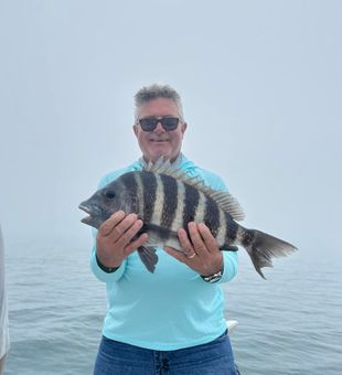 Striped beauty landed! 🎣 #Sheepshead